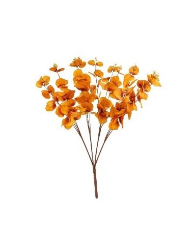 Vara 46cm Eucalipto Fa280 Jun02