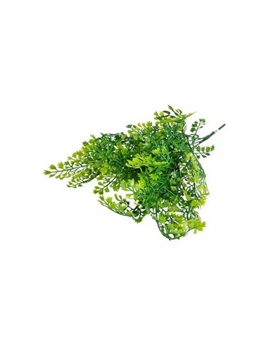 Vara 42cm Perejil Brush X5 Vr37731 Cec03 Ori02