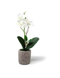 Maceta 30cm C-orquidea O7 Gal01