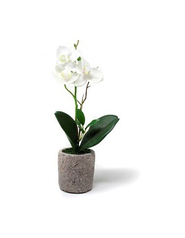 Maceta 30cm C-orquidea O7 Gal01