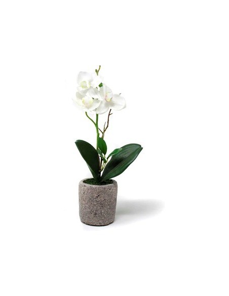 Maceta 30cm C-orquidea O7 Gal01