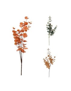 Vara 94cm Eucalipto Fa282-fa283-fa120-fa122 Jun02