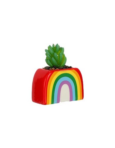 Maceta Ceramica C/suculenta Gato/arco Iris Ed-53395 Ed53460 Sf01