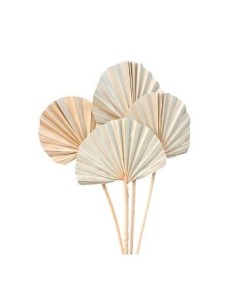 Hojas X10 Palma 50-60cm 49464-59463 Pel02