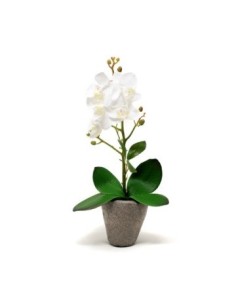 Maceta 38cm C-orquidea Blanca O11 Gal01 -m-