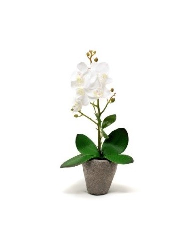 Maceta 38cm C-orquidea Blanca O11 Gal01 -m-