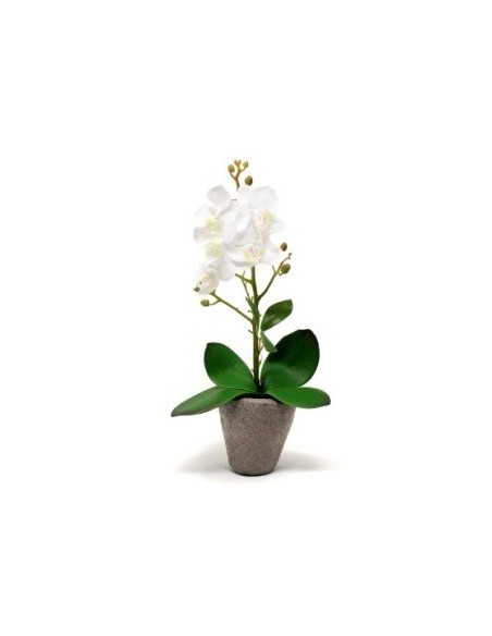 Maceta 38cm C-orquidea Blanca O11 Gal01 -m-
