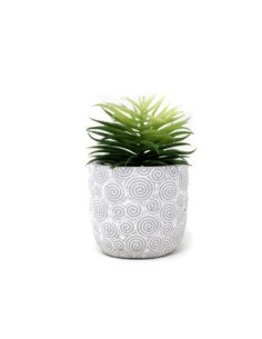 Maceta 8x13cm Cemento Labrado C-suculenta Cm21 Gal01