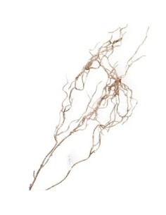 Vara 1 37cm Sauce Colgante Na18640 Cec03