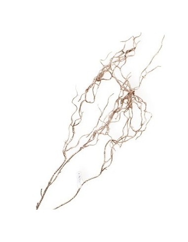 Vara 1 37cm Sauce Colgante Na18640 Cec03