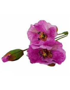 Vara Flor Cosmos 60cm Tf-44044 Tfr03