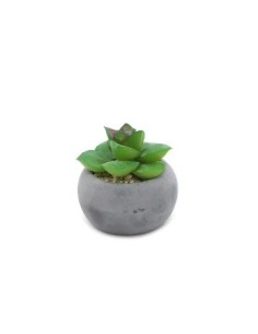 Maceta 6x9cm Gris Geometrica C-cactus 15317-15318 Tar02 -m-