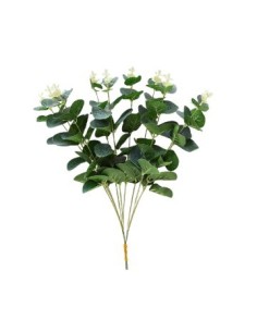 Rama 33cm Eucalipto Verde Fa408 Jun02