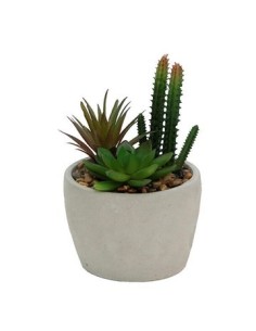 Maceta 15cm Ceramica C/plantita Mcc5211 Vgo01