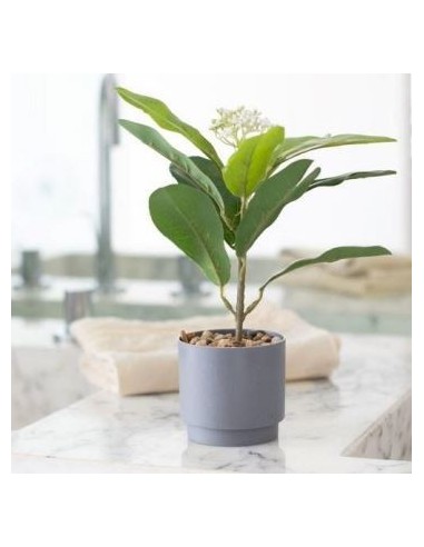 Maceta 30cm C-planta 33394 Ben02