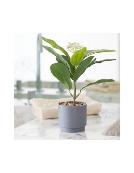 Maceta 30cm C-planta 33394 Ben02