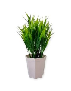 Maceta 16cm Plast  C-planta 33297 Ben02