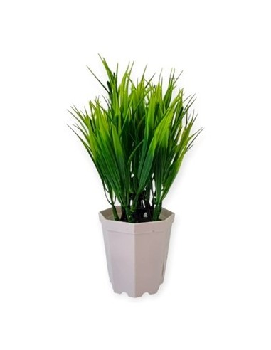 Maceta 16cm Plast  C-planta 33297 Ben02