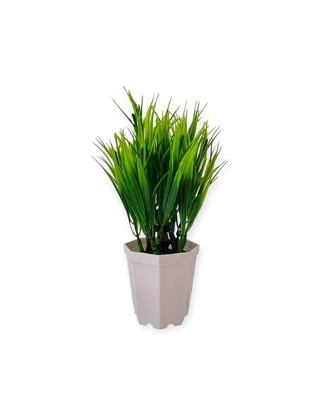 Maceta 16cm Plast  C-planta 33297 Ben02