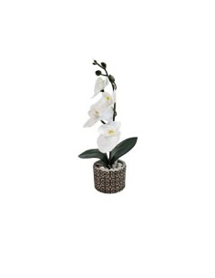 Maceta Cemento 29cm C-flor Blanca Yw-5597 Ori02