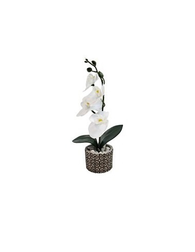 Maceta Cemento 29cm C-flor Blanca Yw-5597 Ori02
