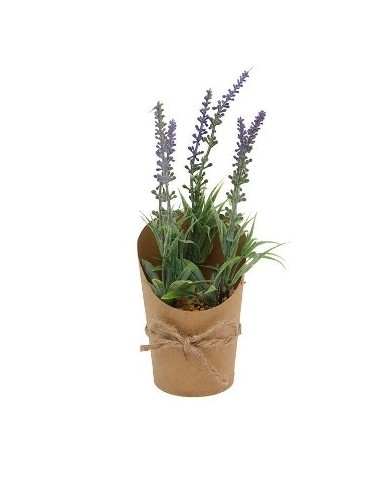 Maceta 30cm Simil Madera C-plantita Lavandas Mcc5145-mcc5144 Vgo01