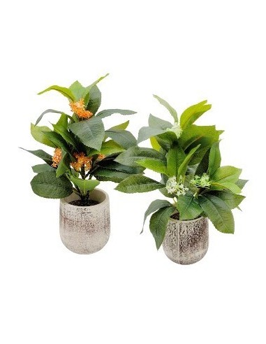 Planta Artificial En Maceta 1203465 Man02