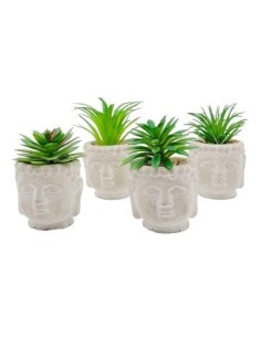 Suculenta En Maceta Mini Buda 1203580 Man02