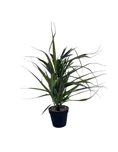Planta Artificial C-maceta 12cm Rk2502063 Rec01
