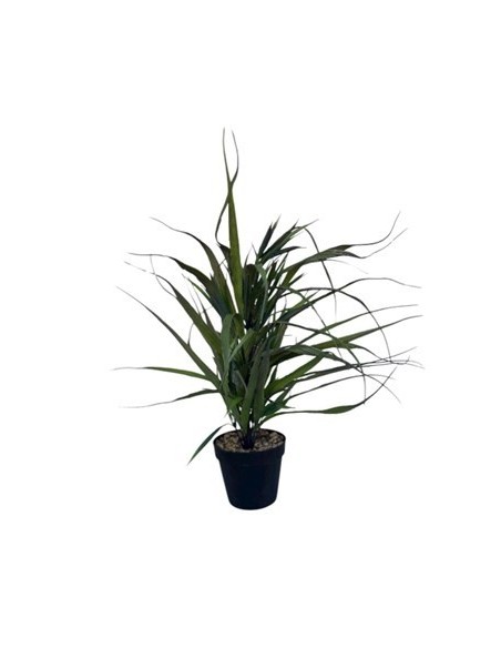 Planta Artificial C-maceta 12cm Rk2502063 Rec01