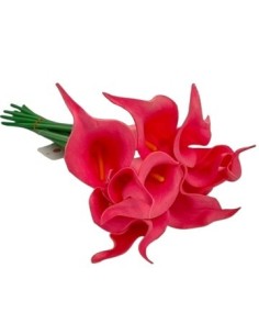 Ramo X10 Cala 35 Cm  201025 Liv01