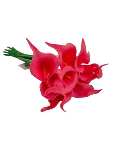 Ramo X10 Cala 35 Cm  201025 Liv01