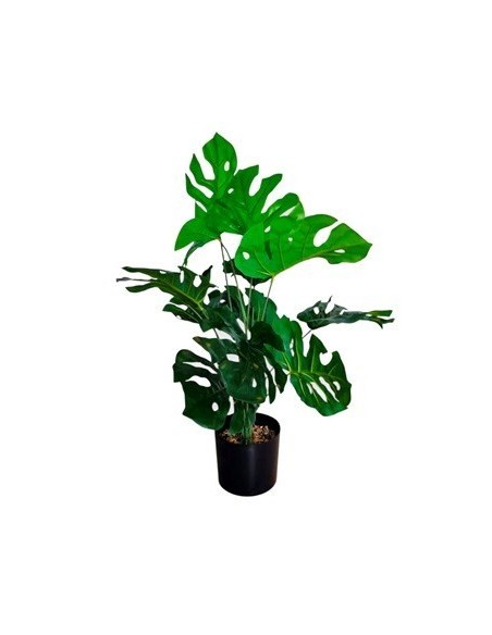 Maceta C-planta 65cm Piedras Monstera-palmera 25602445-25602444 Tal01