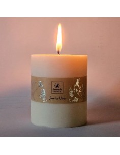 Velon 8 5x6cm Vegetal 030ub Ilum01