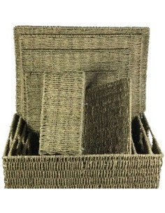 Organizador 35x24x17cm C-asa Y Tapa Seagrass Ra36101 Rey03