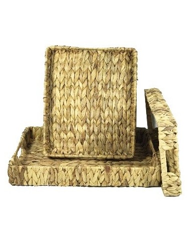 Bandeja 48x32cm Rectangular Jacinto Ra211263 Rey03