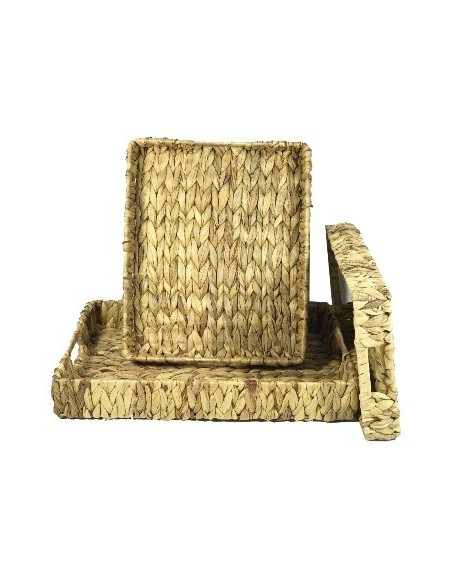 Bandeja 48x32cm Rectangular Jacinto Ra211263 Rey03