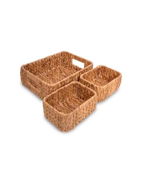 Canasto 28x20x15cm Rect  C-asa Jacinto B4880 Dec01 Pcu01