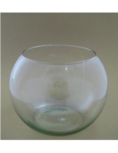 Pecera N.5 16x14 Vidrio 0203202 Baires / Gift02 (b6)