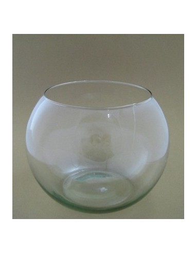 Pecera N.5 16x14 Vidrio 0203202 Baires / Gift02 (b6)