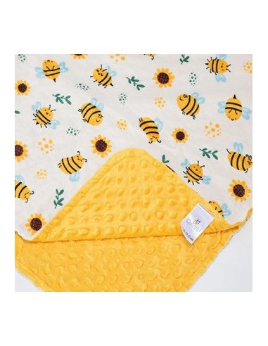 Manta Infantil 102 X76cm.doble Cara Ec30105 Sf01