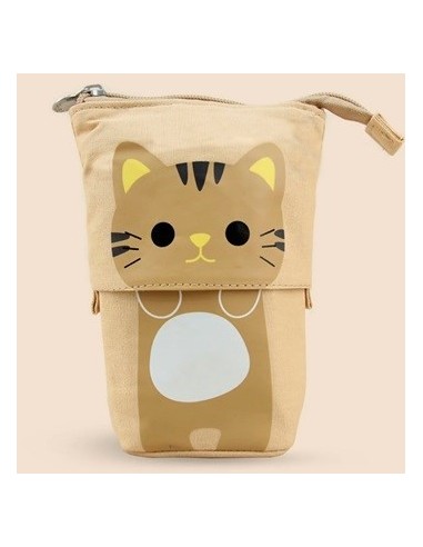 Cartuchera Extensible 18x13 Surtido Bc30153 Sf01