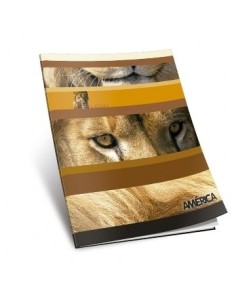 Cuaderno  24hj T/f Ray America 144-10 / 237611/1135110/237611 Ae01 Aud02 (b180)