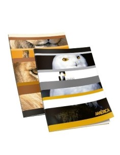 Cuaderno  48hj T/f Ray America 1135109 / 238544 Ae01 (b90)