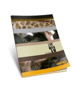 Cuaderno  24hj T/f Cuad America 237629/1135133/237629  Ae01(b180)