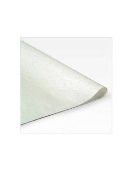 Papel Manteca X Hoja 70x100 Hemapel Man001 (b400)