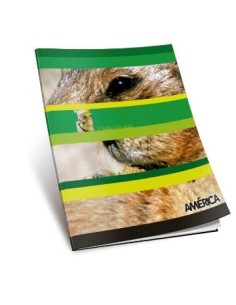 Cuaderno  24hj T/f Liso America 144-12 / 1135112/237511/237637  Ae01 (b180)