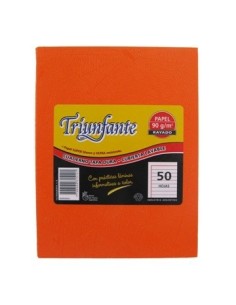 Cuaderno  50hj T/d Ray Arana Naranja 315121 Triunfante Tec02 (b5)