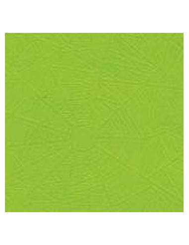 Papel Forrar Arana Verde Claro 25-13 204572 Muresco/luma (b20)