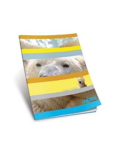 Cuaderno 48hj T/f Liso America 238560 Ae01 (b90)